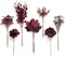 Artificial Greenery Stems Box Set, 35pcs with 7 Kinds of Faux Flowers Picks for DIY Bridal Bouquets Wedding Floral Arrangement Table Centerpieces, Moody Burgundy